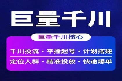 竞价排名与自然排名的对比案例